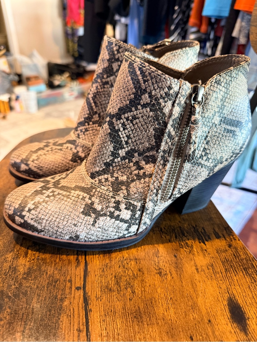 BareTraps Snake-Print Ankle Booties in Black and Cream